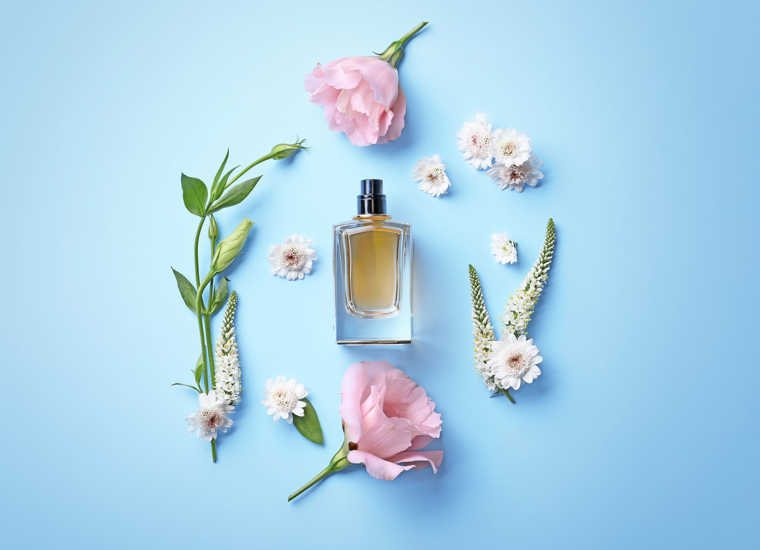 Best Place to Shop for Luxury and Niche Perfume Fragrances For Women | My Perfume Shop