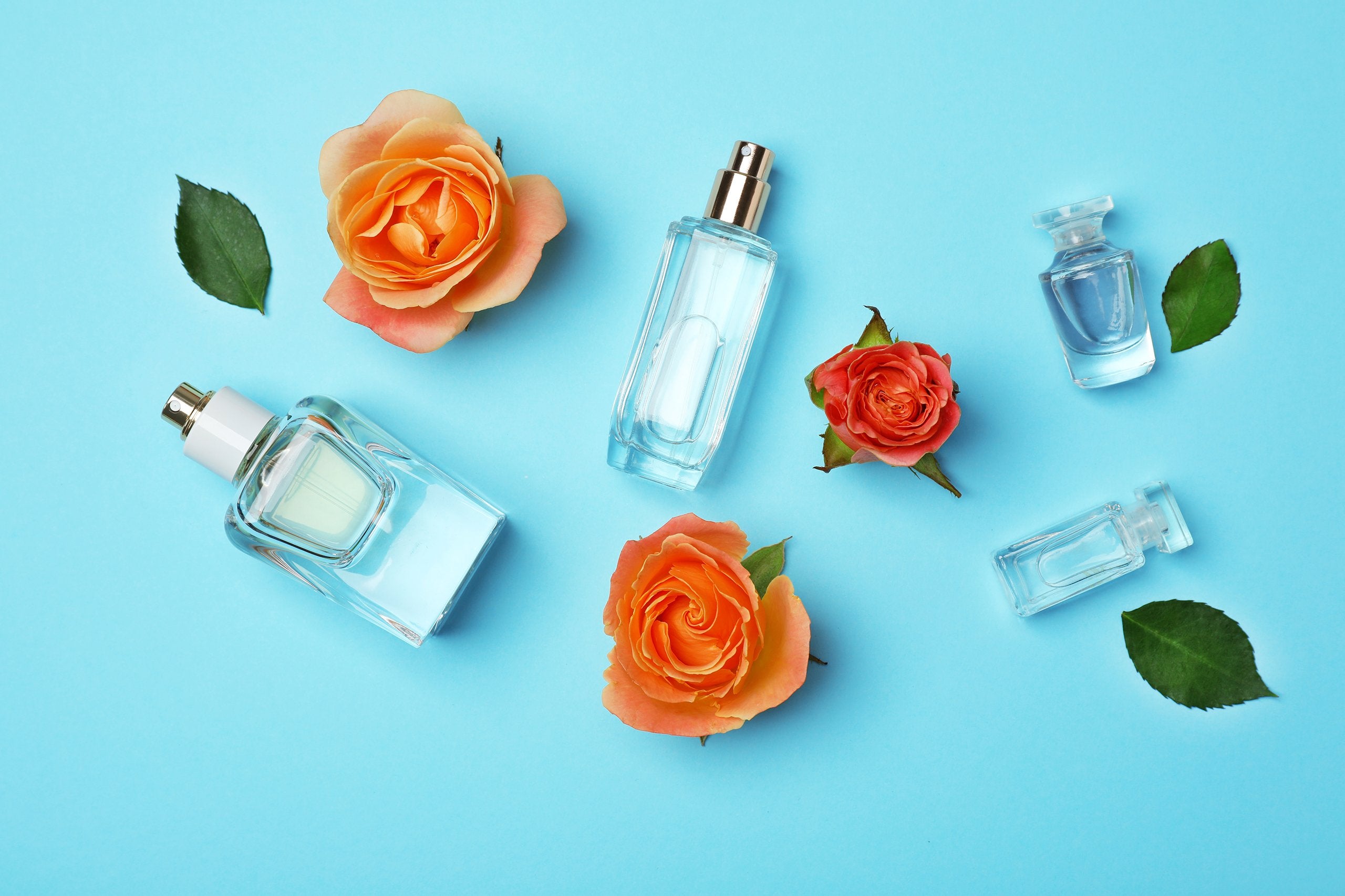 Life is better when you smell good. Find your favourite Perfume and Cologne Bestsellers for Men and Women | My Perfume Shop