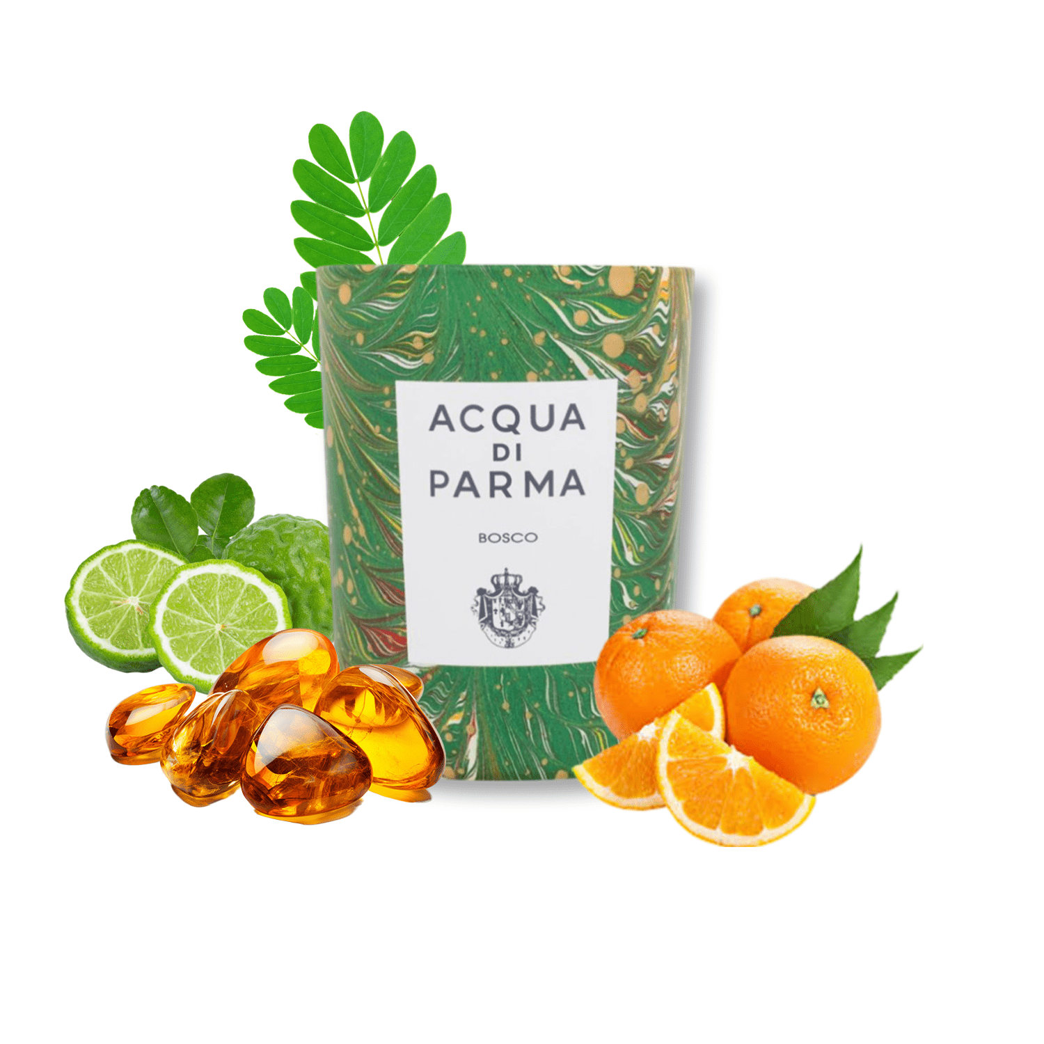 Acqua Di Parma Bosco Scented Candle | My Perfume Shop