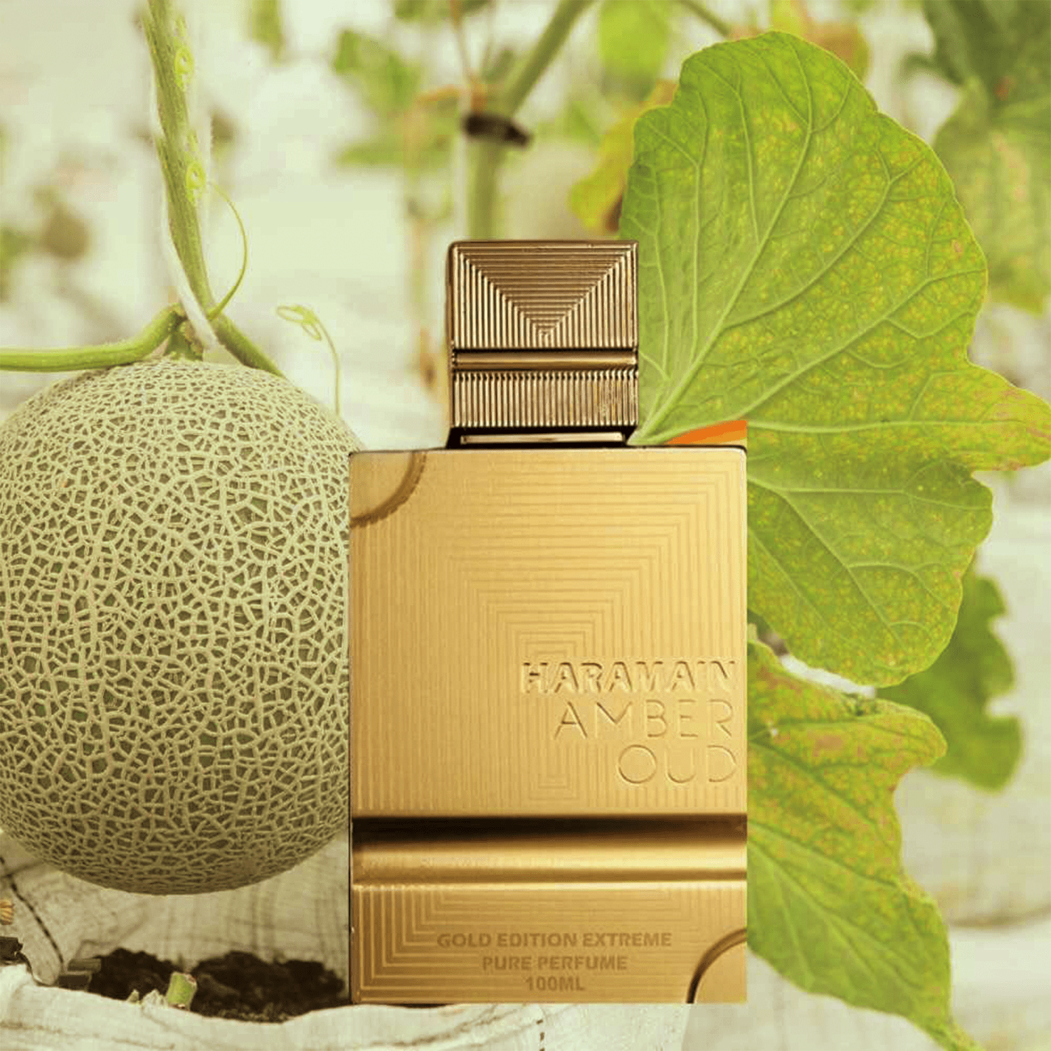 Al Haramain Amber Oud Extreme Gold Edition Extrait De Parfum | My Perfume Shop