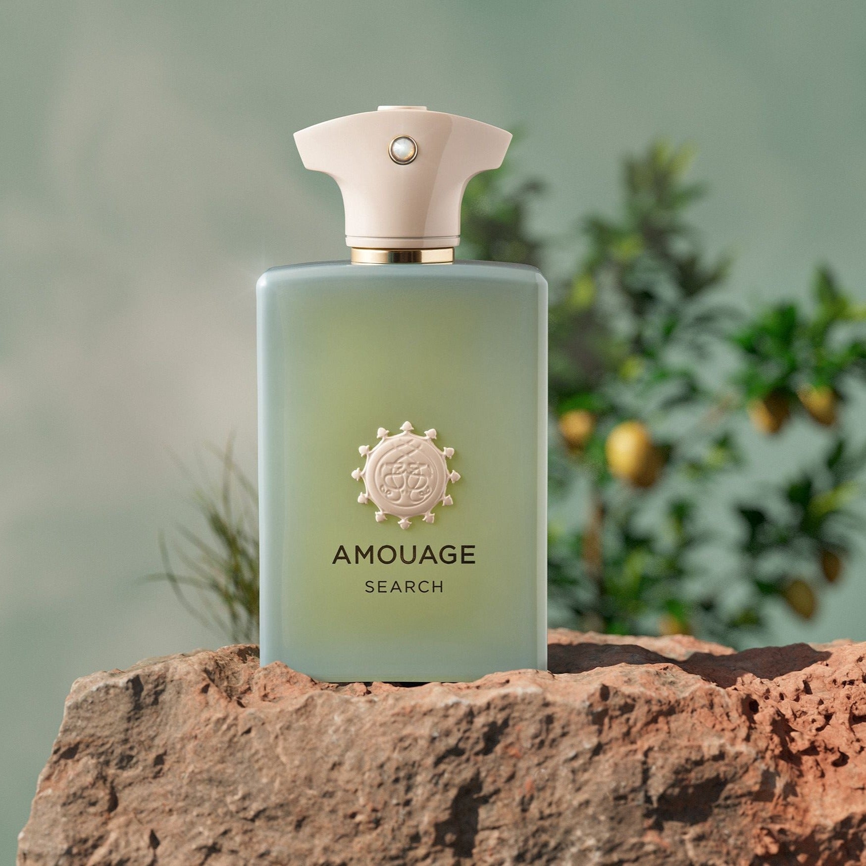 Amouage Search EDP | My Perfume Shop