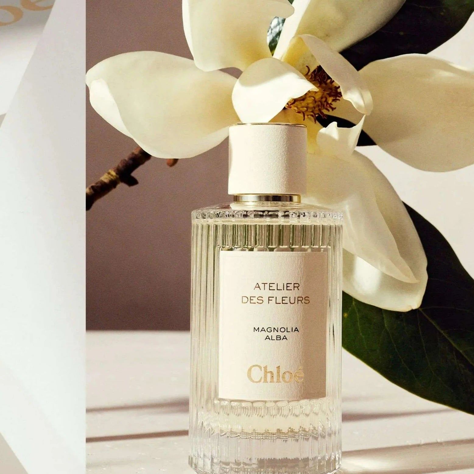 Chloe Atelier Des Fleurs Cedrus EDP | My Perfume Shop