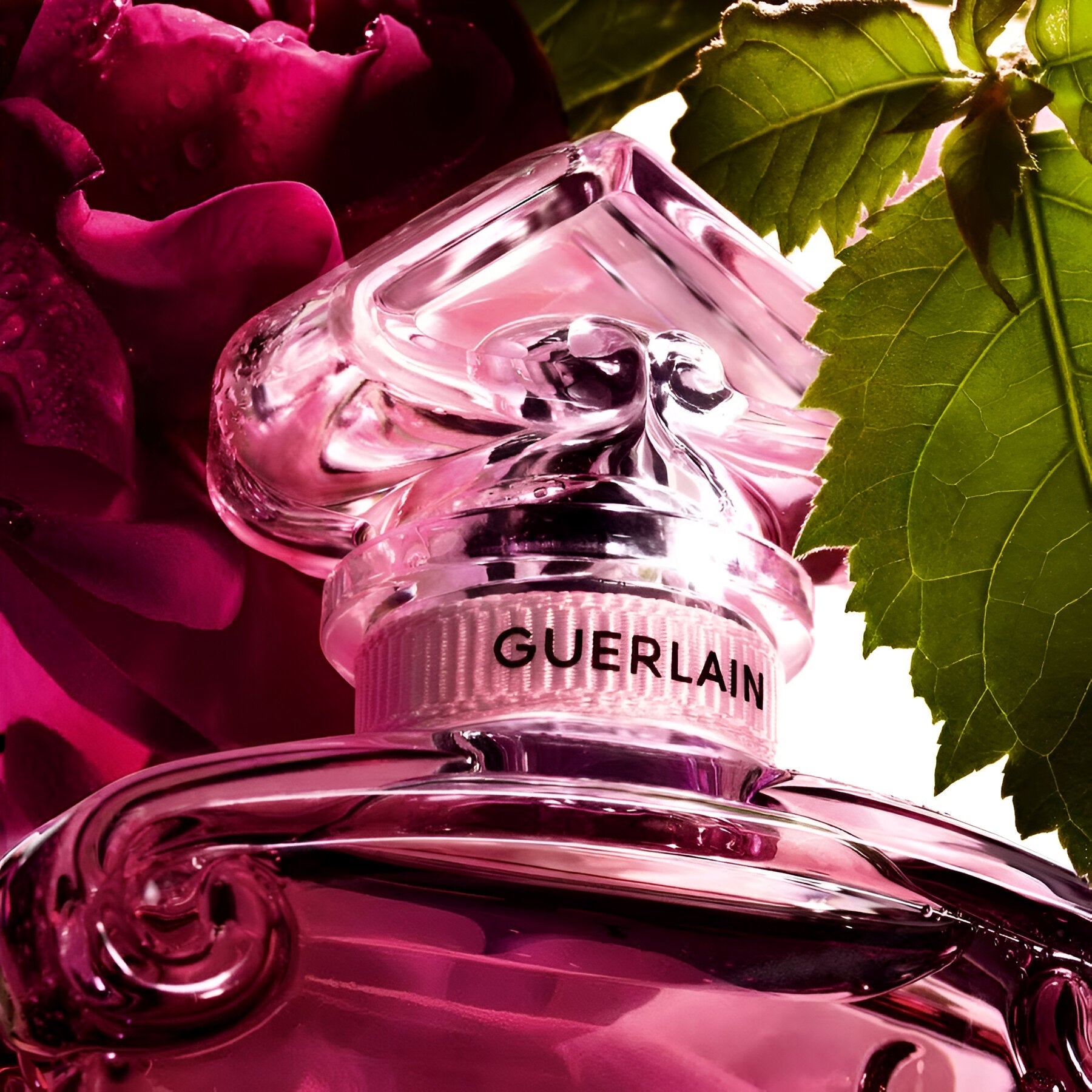 Guerlain La Petite Robe Noire EDP Absolue | My Perfume Shop