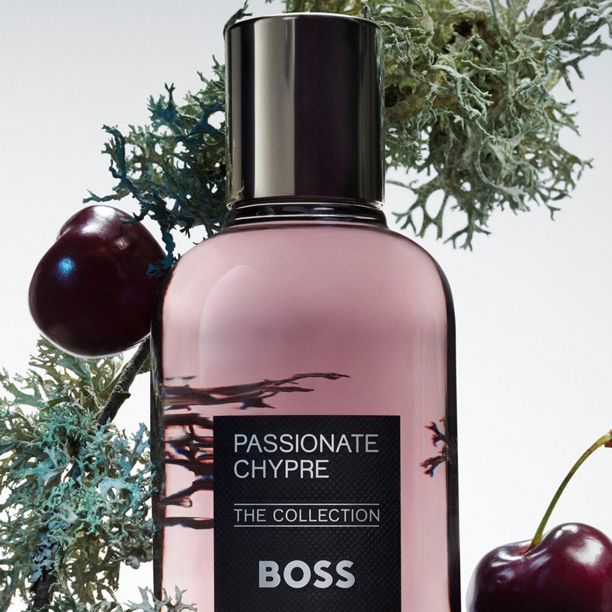 Hugo Boss Boss The Collection Passionate Chypre EDP | My Perfume Shop