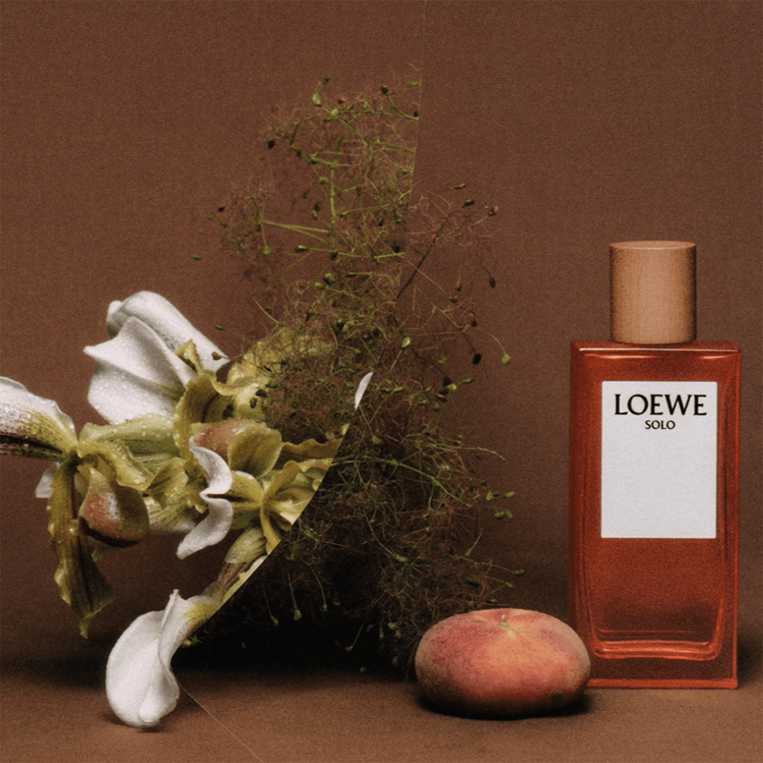 Loewe Solo Loewe EDT | My Perfume Shop