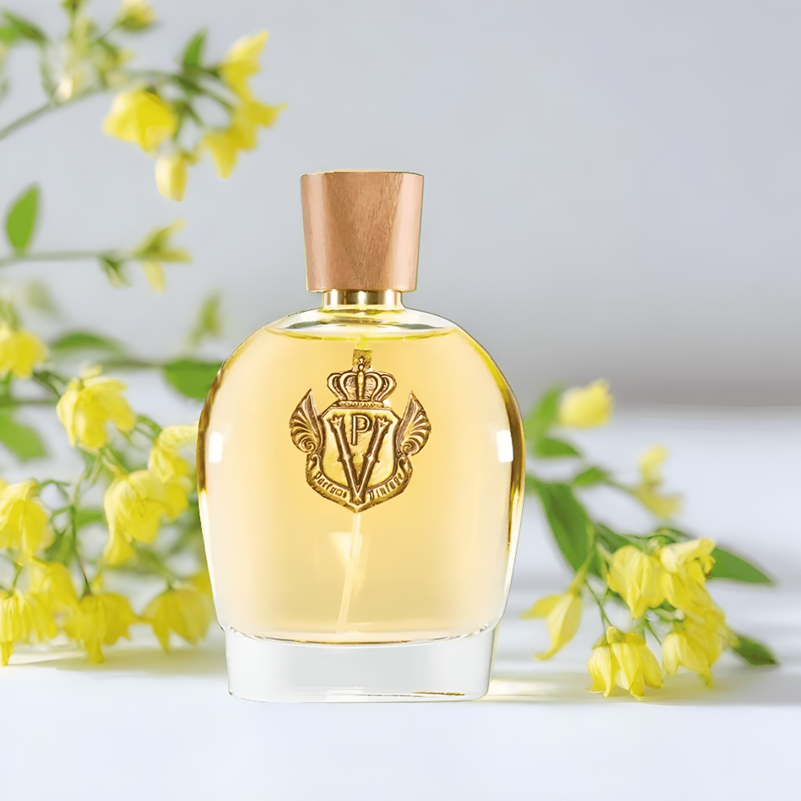 Parfums Vintage Puissant EDP | My Perfume Shop