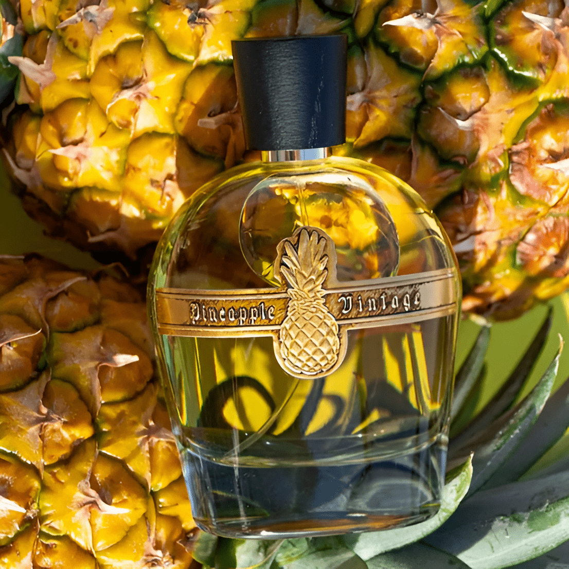 Pineapple Parfums Vintage EDP | My Perfume Shop