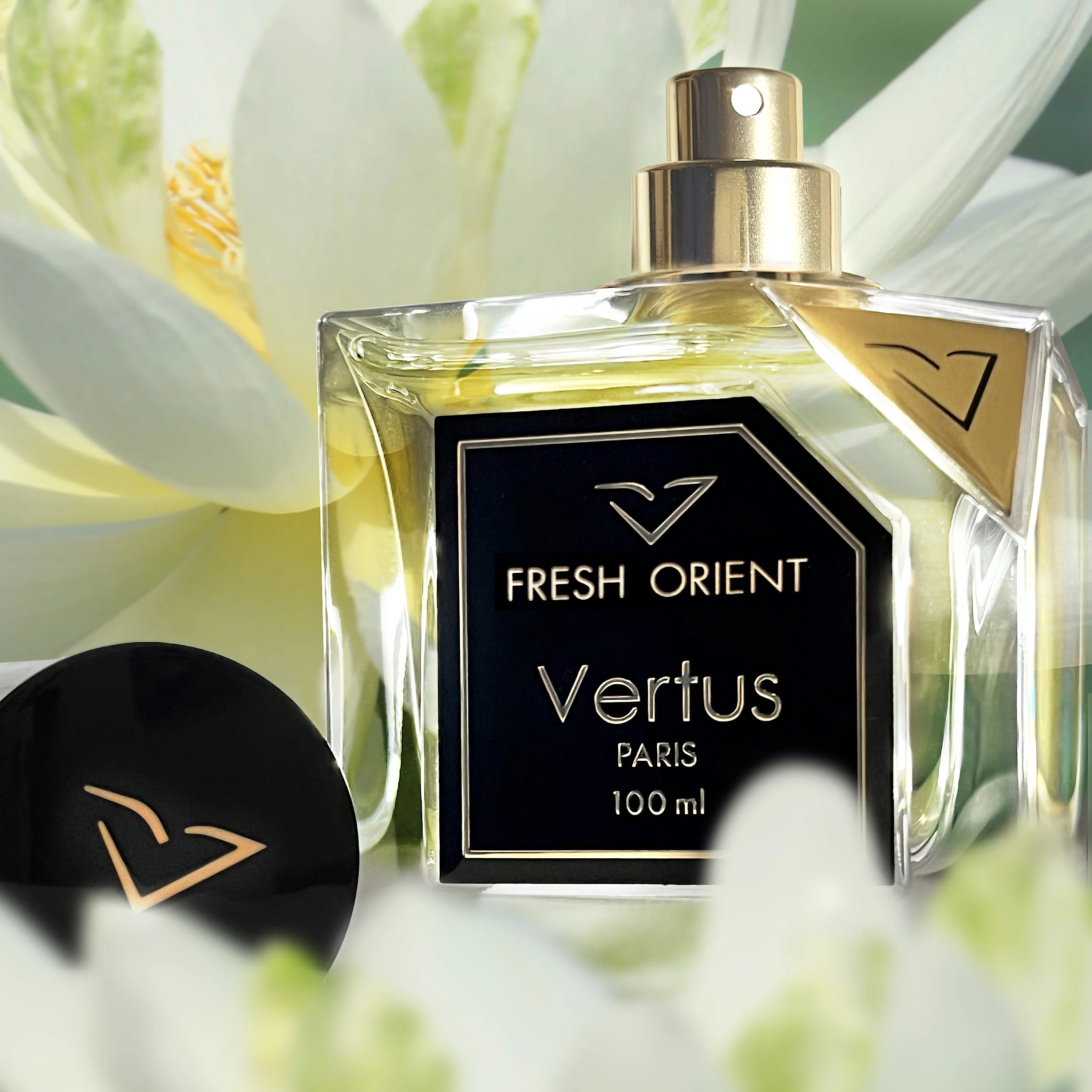 Vertus Fresh Orient EDP | My Perfume Shop