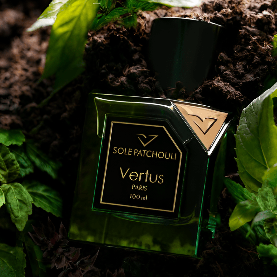 Vertus Sole Patchouli EDP | My Perfume Shop