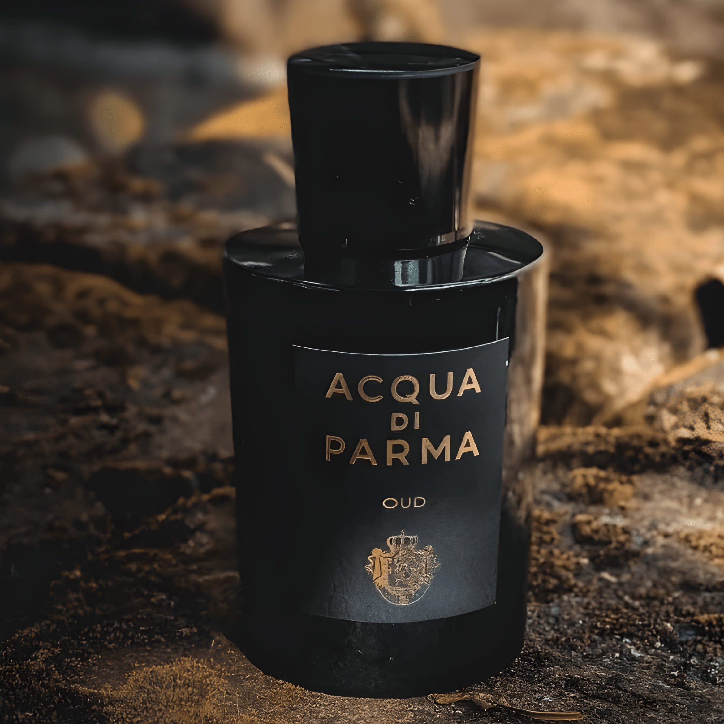 Acqua Di Parma Ambra EDP | My Perfume Shop