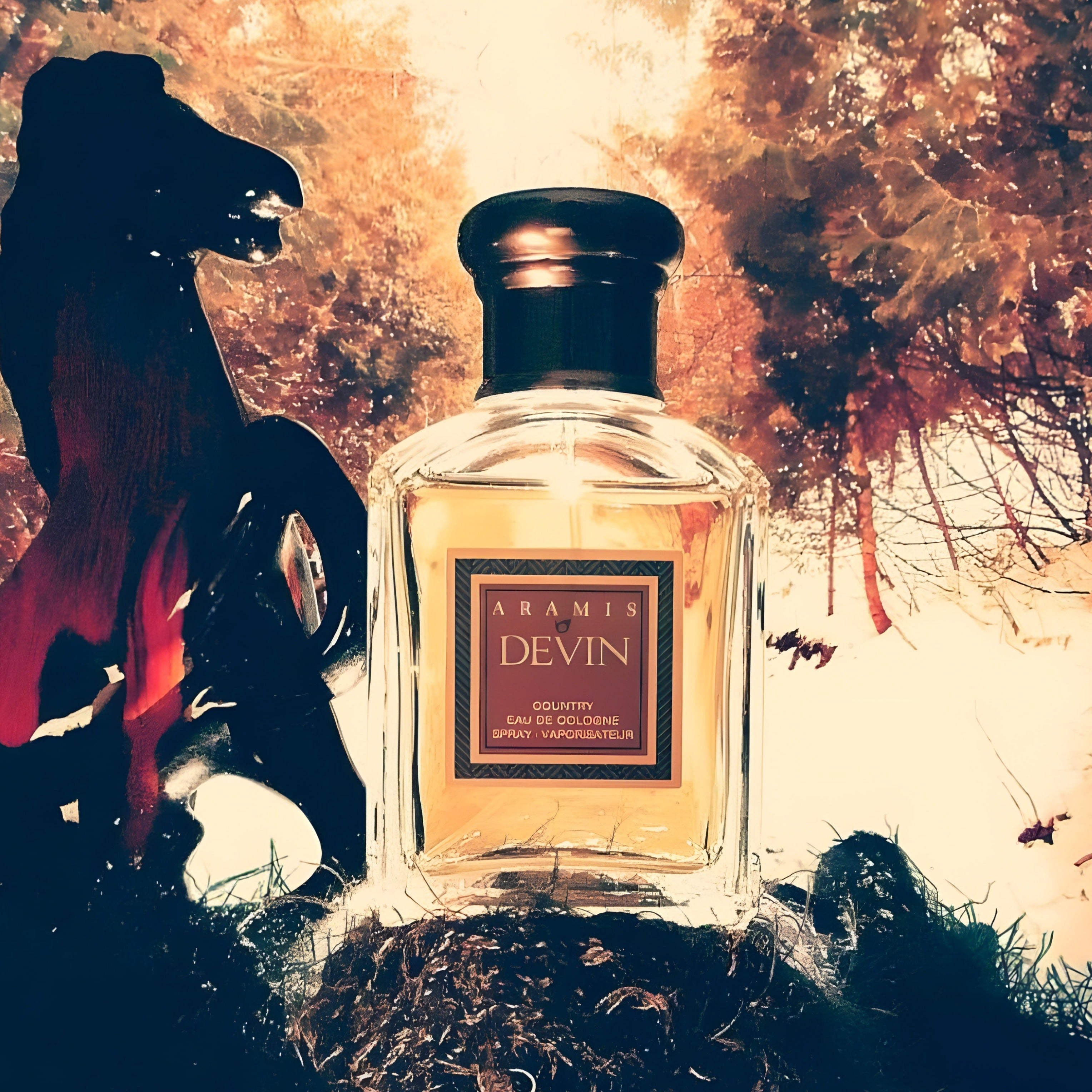 Aramis Devin Country Eau De Cologne | My Perfume Shop