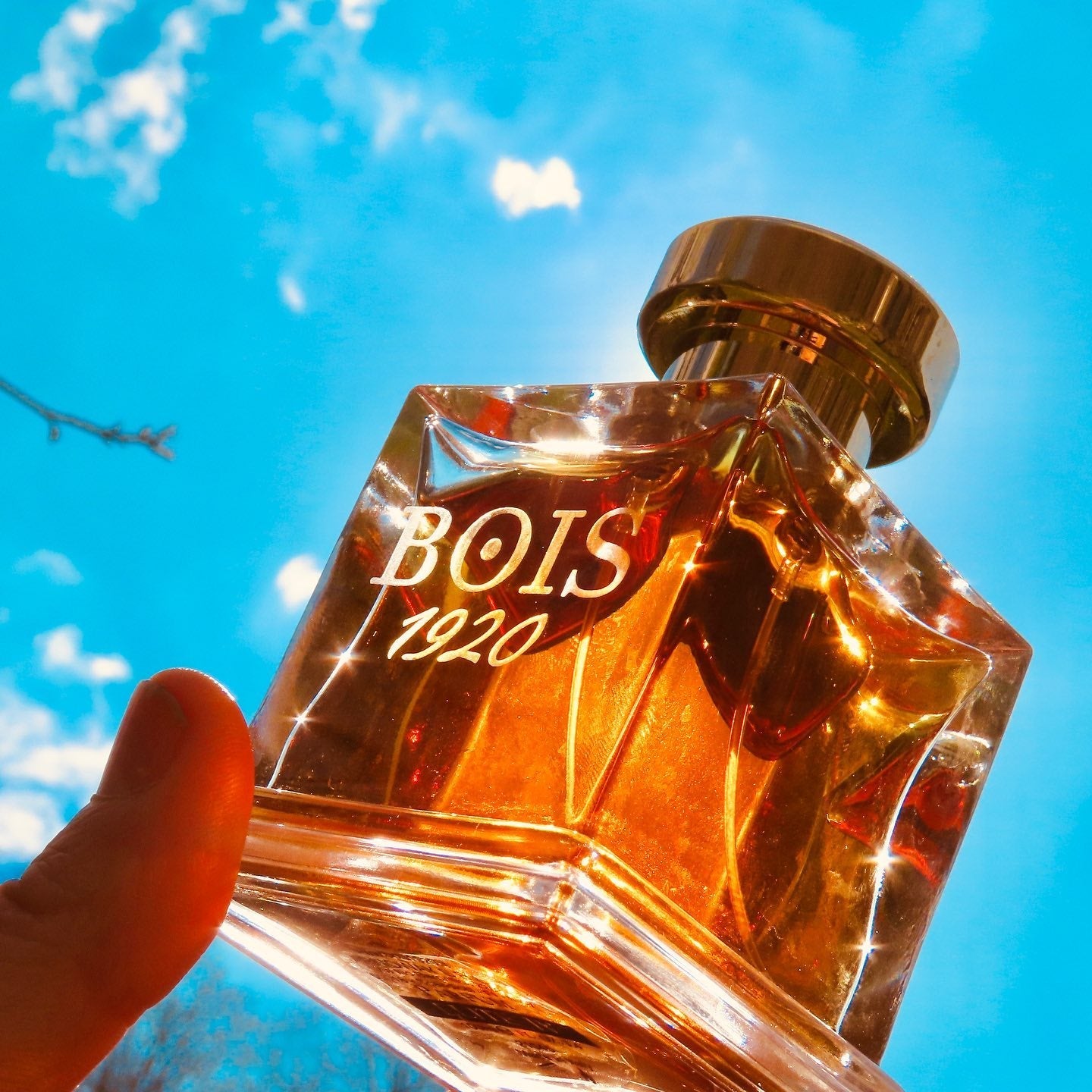 Bois 1920 Elite I Parfum | My Perfume Shop