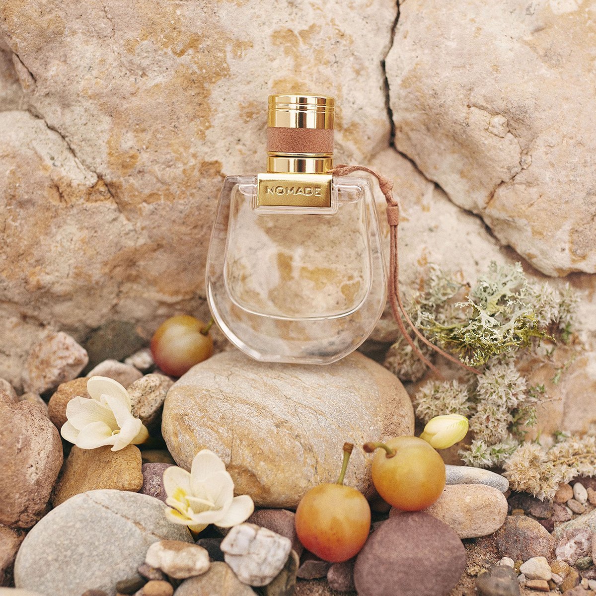 Chloé Nomade EDP | My Perfume Shop