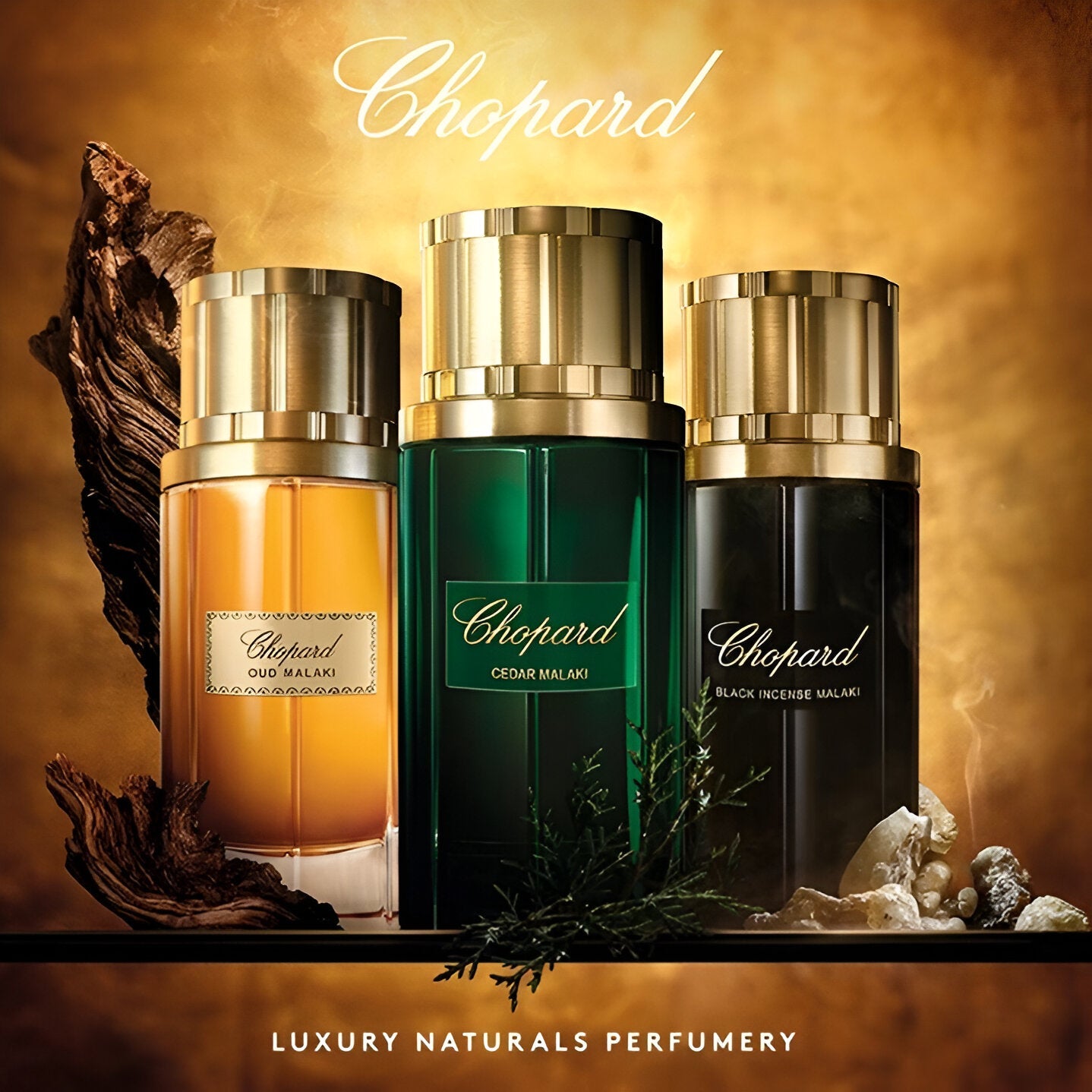 Chopard Black Incense Malaki EDP | My Perfume Shop