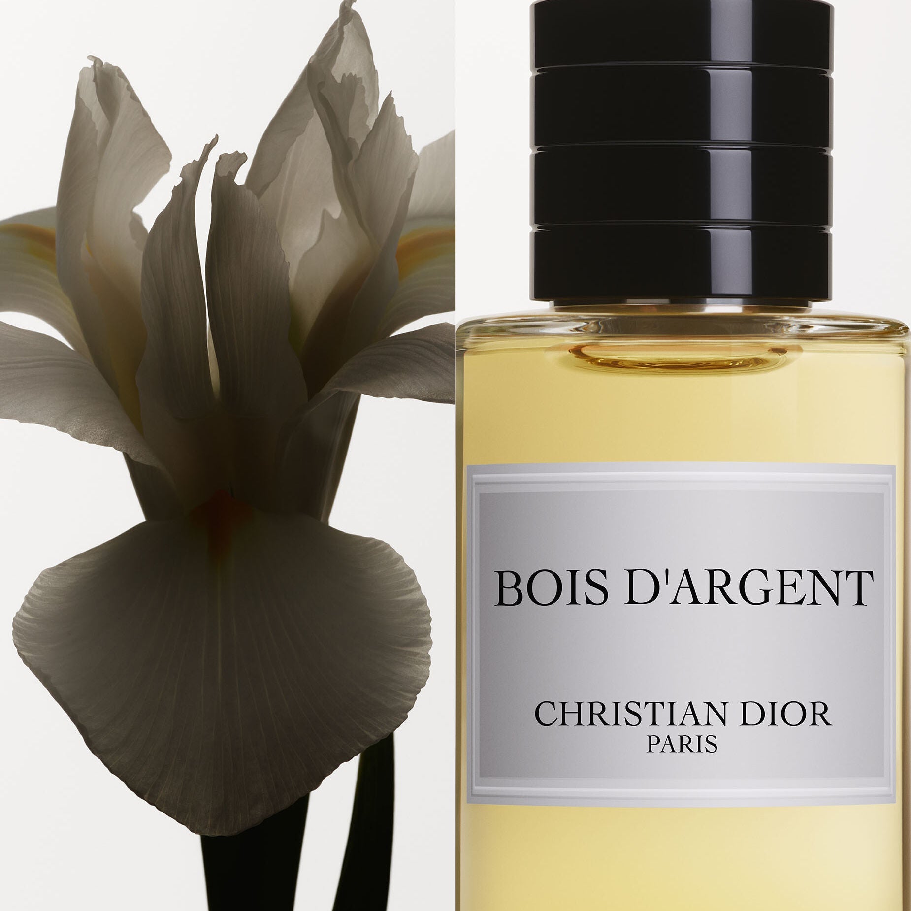 Christian Dior Bois D'Argent EDP | My Perfume Shop