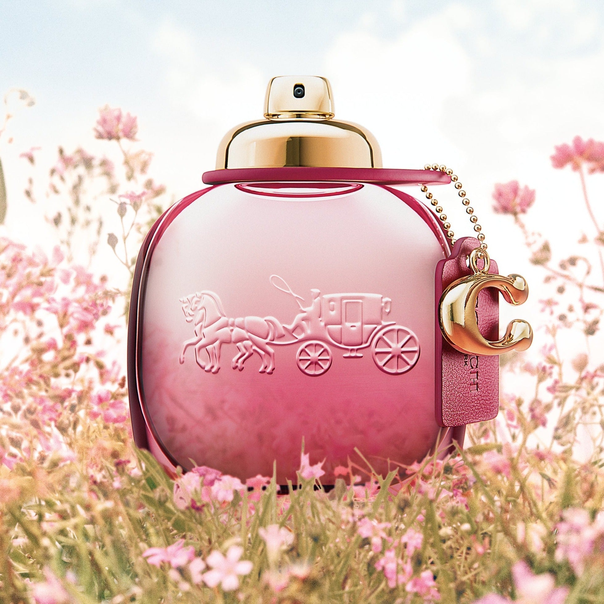 Coach Wild Rose EDP | My Perfume Shop