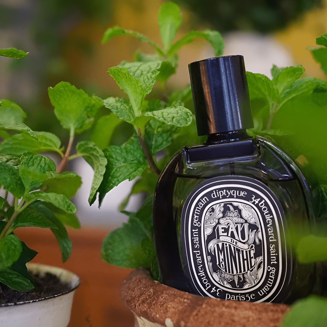 Diptyque Eau De Minthe EDP | My Perfume Shop