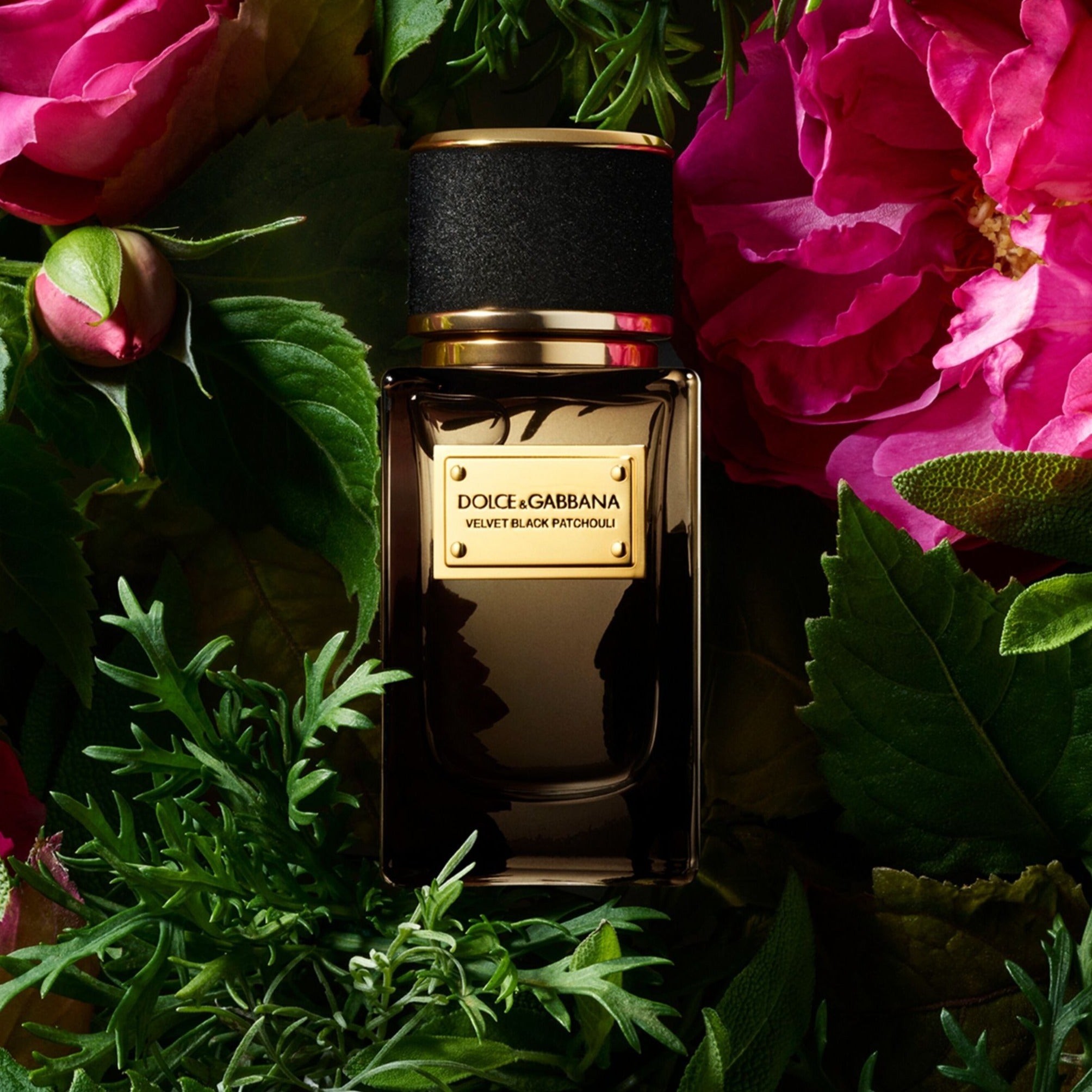 Dolce & Gabbana Velvet Black Patchouli EDP | My Perfume Shop