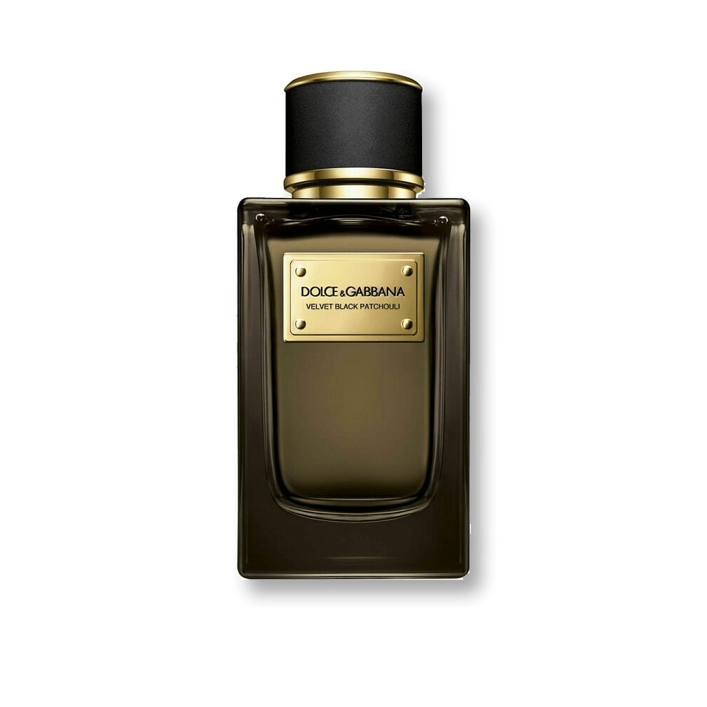 Dolce & Gabbana Velvet Black Patchouli EDP | My Perfume Shop