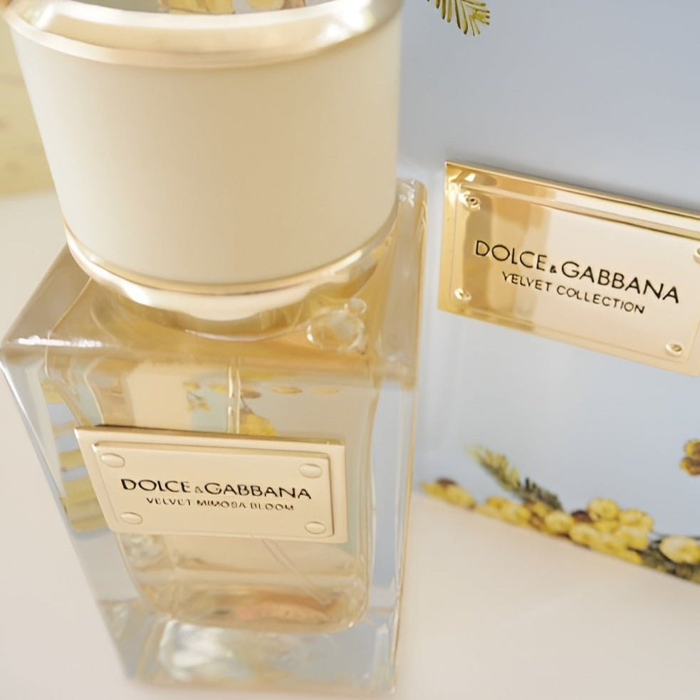 Dolce & Gabbana Velvet Mimosa Bloom EDP | My Perfume Shop