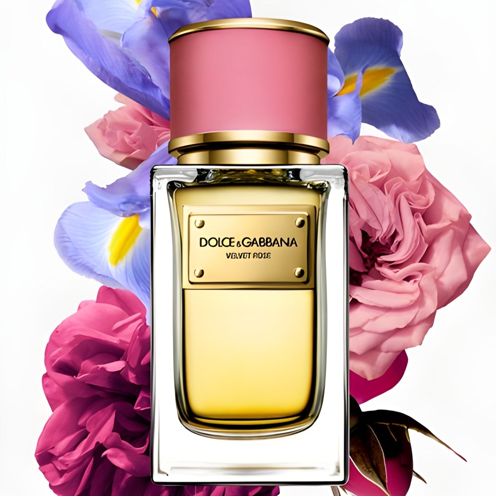 Dolce & Gabbana Velvet Rose EDP | My Perfume Shop