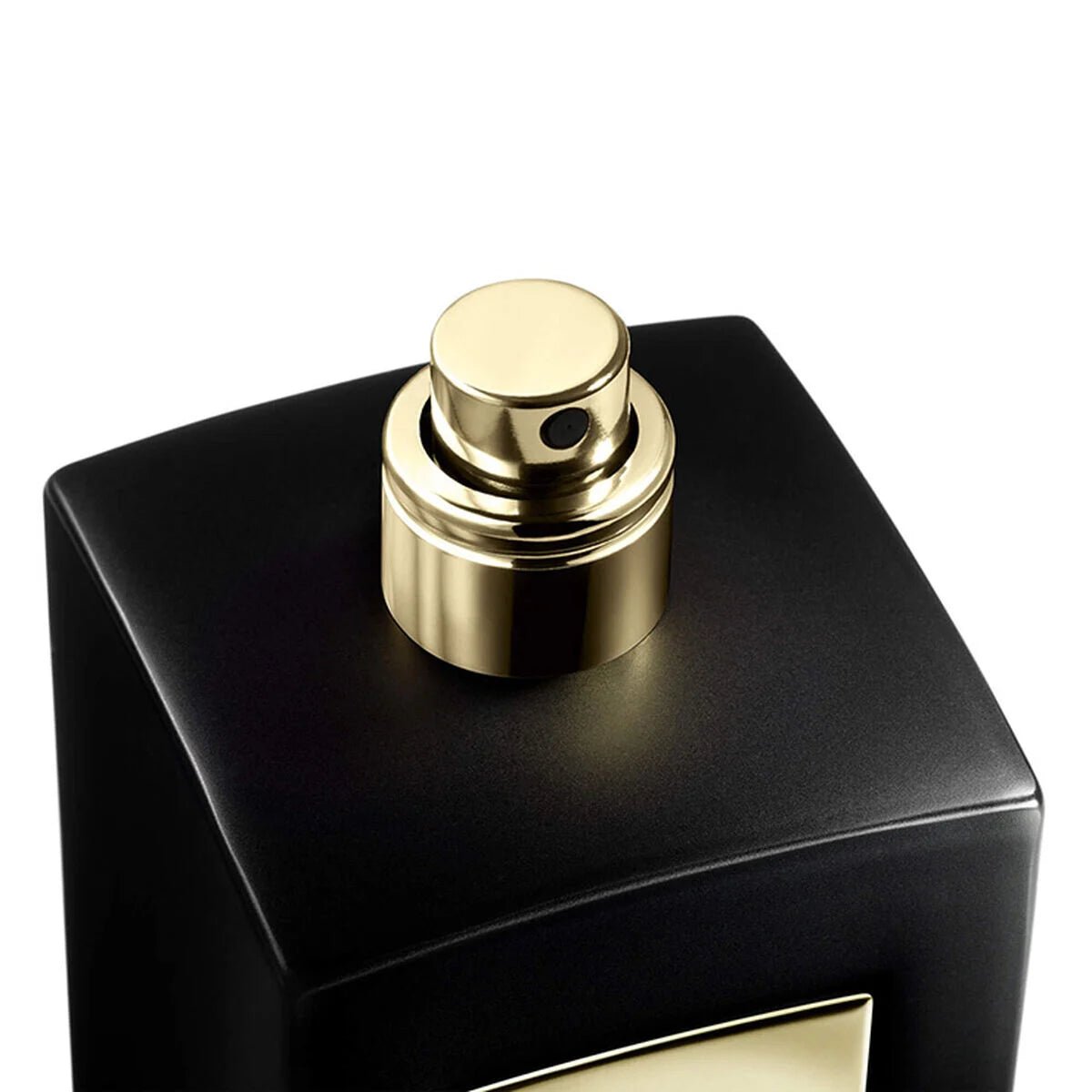 Giorgio Armani Prive Cuir Zerzura EDP | My Perfume Shop