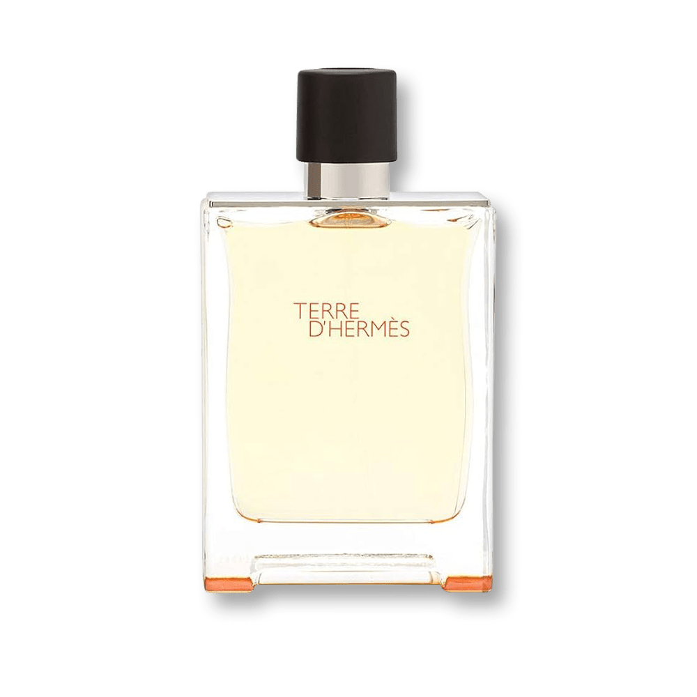 Hermes Terre D'Hermes Delux Replica EDT | My Perfume Shop