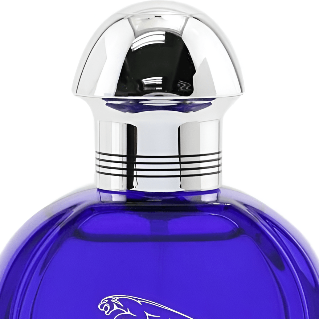 Jaguar Evolution EDT | My Perfume Shop