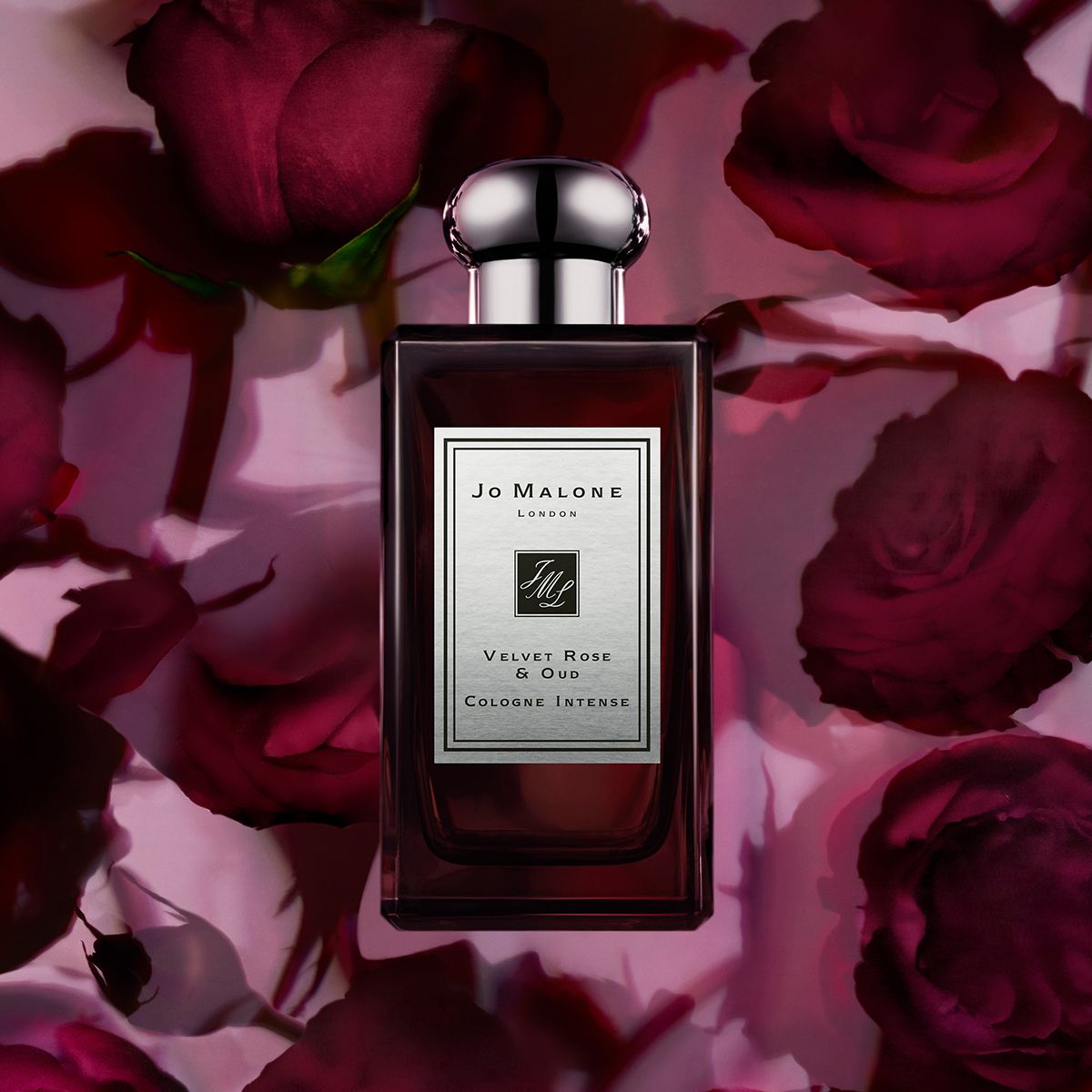 Jo Malone Velvet Rose & Oud Cologne Intense | My Perfume Shop