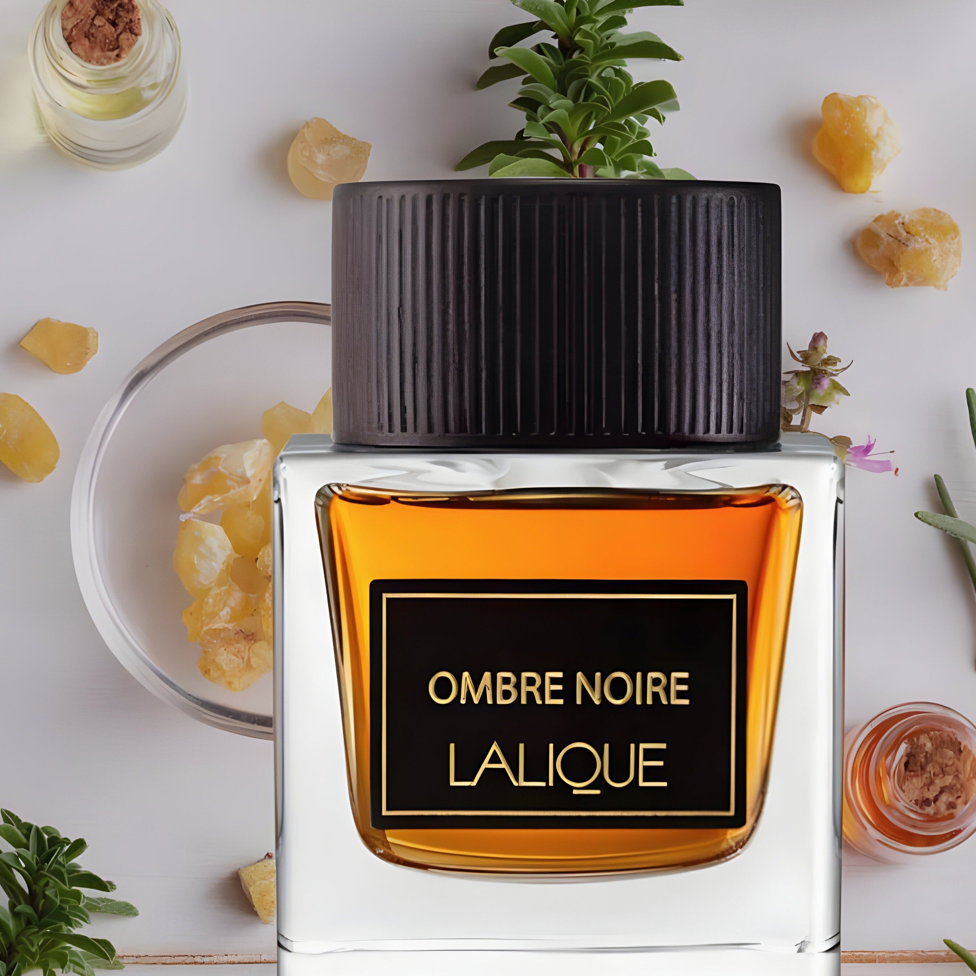 Lalique Ombre Noire EDP For Men | My Perfume Shop